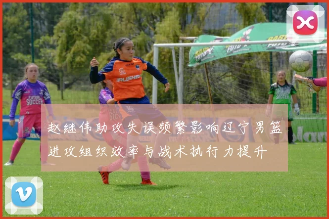 赵继伟助攻失误频繁影响辽宁男篮进攻组织效率与战术执行力提升