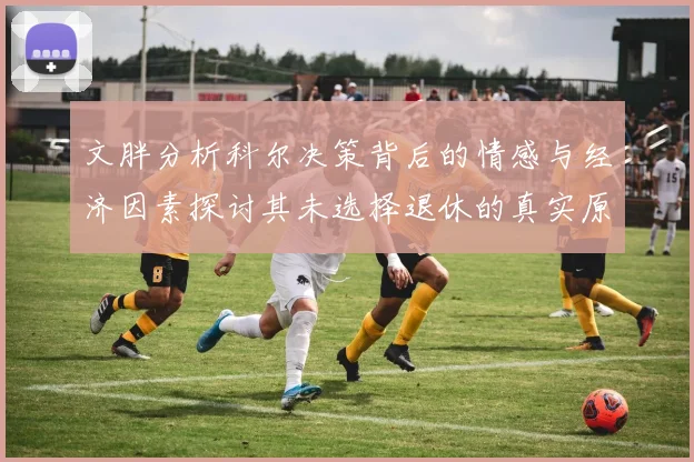 文胖分析科尔决策背后的情感与经济因素探讨其未选择退休的真实原因