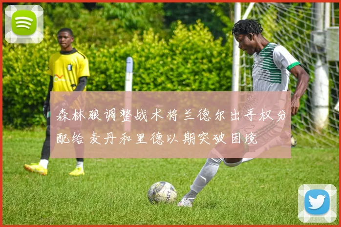 森林狼调整战术将兰德尔出手权分配给麦丹和里德以期突破困境